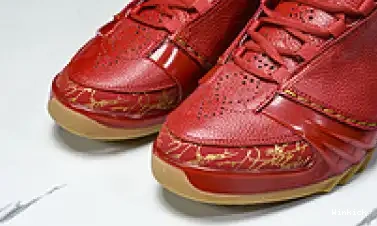 Chicago 23 Jordan 811645-650 0513